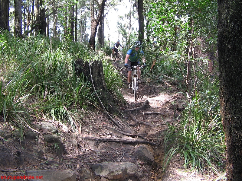 20080210-Bulli 056 